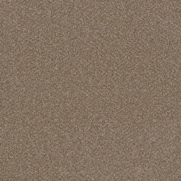 Dreamweaver Carpet Metropolitan II Wicker Carpet 8400_825