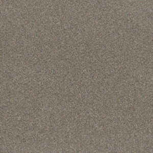 Dreamweaver Carpet Metropolitan II Shadows Carpet 8400_826