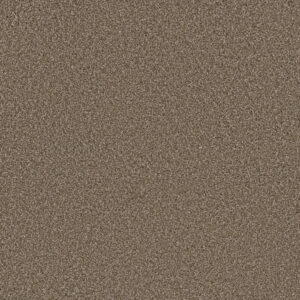 Dreamweaver Carpet Metropolitan II Acorn Carpet 8400_858