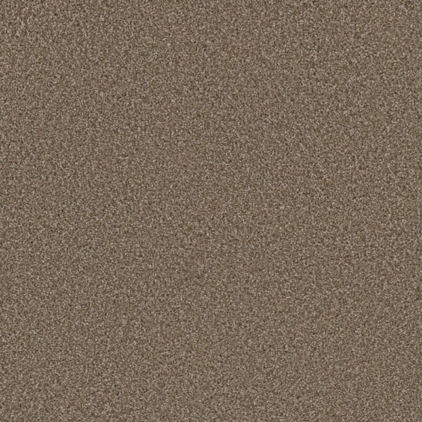 Dreamweaver Carpet Metropolitan II Acorn Carpet 8400_858