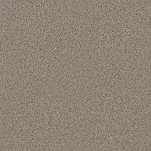 Dreamweaver Carpet Metropolitan II Stucco Carpet 8400_905