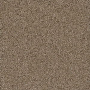 Dreamweaver Carpet Cosmopolitan II Straw Carpet 8550_551