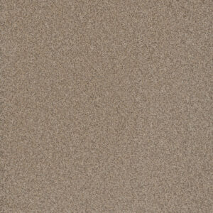Dreamweaver Carpet Cosmopolitan II Oxford Carpet 8550_720