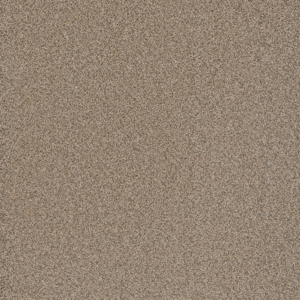 Dreamweaver Carpet Cosmopolitan II Oxford Carpet 8550_720