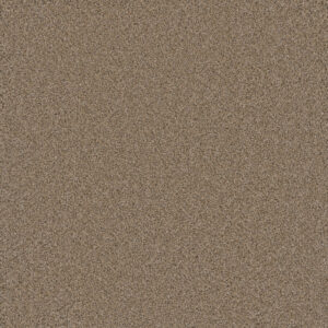 Dreamweaver Carpet Cosmopolitan II Ginger Carpet 8550_726