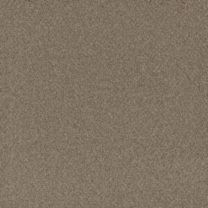 Dreamweaver Carpet Cosmopolitan II Mocha Carpet 8550_775