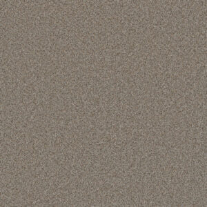 Dreamweaver Carpet Cosmopolitan II Iron Frost Carpet 8550_815