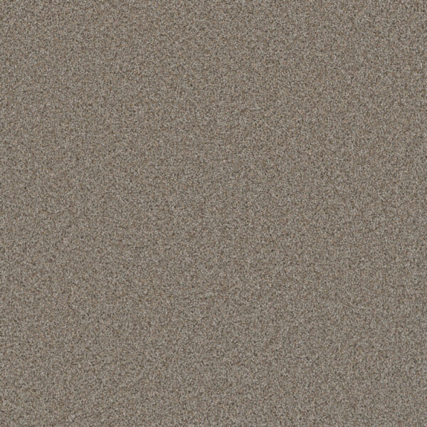 Dreamweaver Carpet Cosmopolitan II Iron Frost Carpet 8550_815