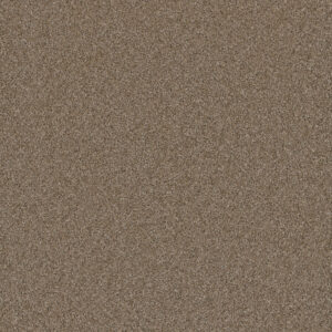 Dreamweaver Carpet Cosmopolitan II Wicker Carpet 8550_825