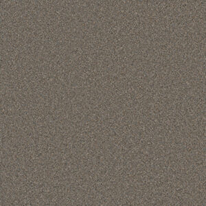 Dreamweaver Carpet Cosmopolitan II Shadows Carpet 8550_826