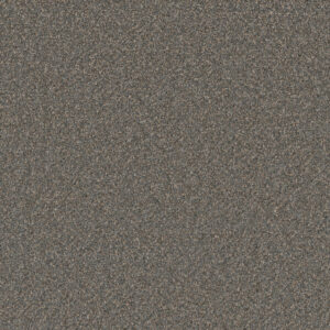 Dreamweaver Carpet Cosmopolitan II Horizons Carpet 8550_846