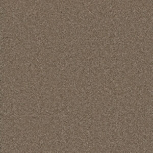 Dreamweaver Carpet Cosmopolitan II Tumbleweed Carpet 8550_883