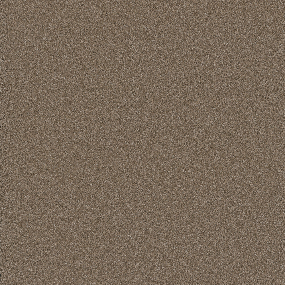 Dreamweaver Carpet Cosmopolitan II Tumbleweed Carpet 8550_883