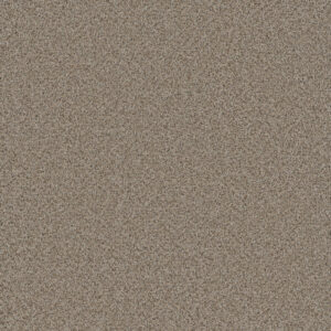 Dreamweaver Carpet Cosmopolitan II Stucco Carpet 8550_905