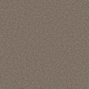Dreamweaver Carpet Cosmopolitan II Ash Carpet 8550_945