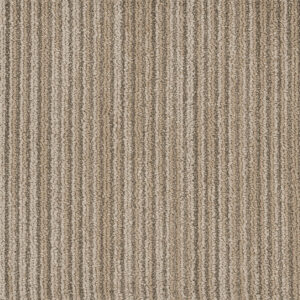 Dreamweaver Carpet DW Select Westminster Knightsbridge Carpet 8552_8100