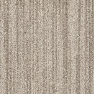Dreamweaver Carpet DW Select Westminster Brookstone Carpet 8552_8250