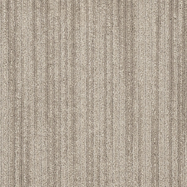 Dreamweaver Carpet DW Select Westminster Brookstone Carpet 8552_8250