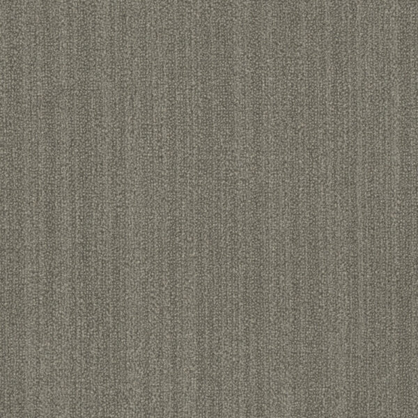 Dreamweaver Carpet DW Select Aberdeen Highlander Carpet 8630_3909