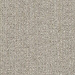 Dreamweaver Carpet DW Select Dublin Chevoit Carpet 8631_3912