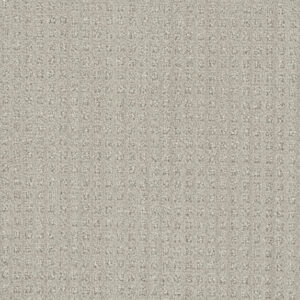 Dreamweaver Carpet DW Select Dublin Stone Spinning Carpet 8631_3927