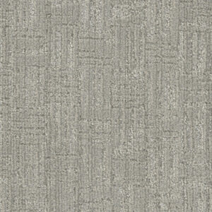 Dreamweaver Carpet DW Select Century In a Lifetime Carpet 8634_2702