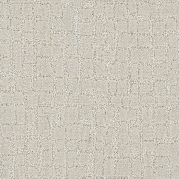 Dreamweaver Carpet DW Select Artisan Blank Canvas Carpet 8641_3925