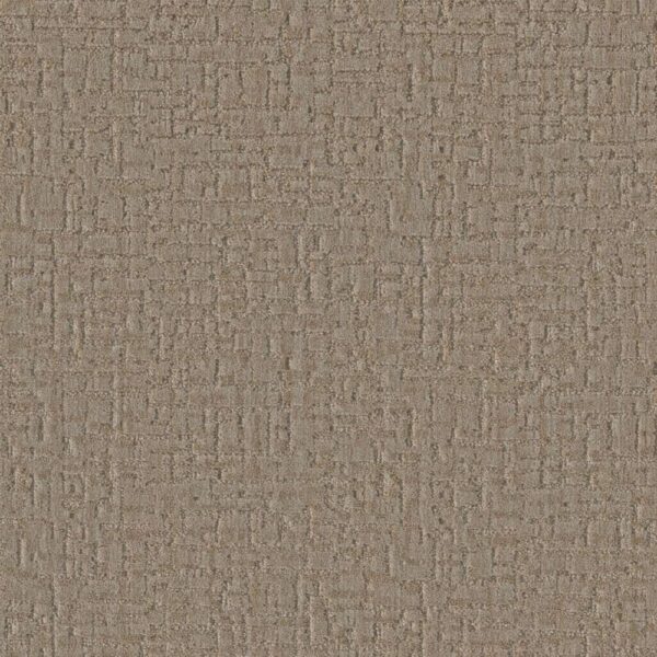Dreamweaver Carpet River Street Franklin Carpet 8900_8106