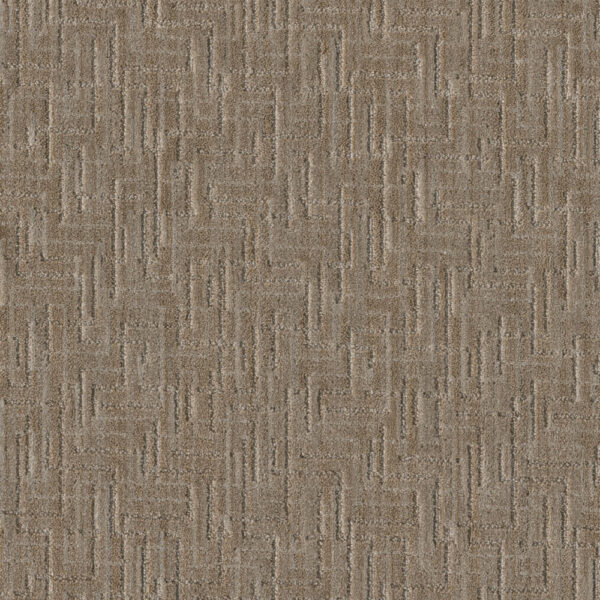 Dreamweaver Carpet Manuscript Franklin Carpet 8905_8106