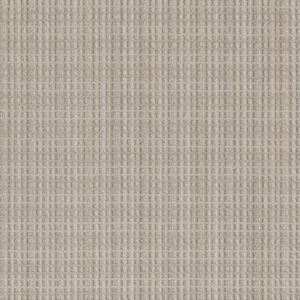 Dreamweaver Carpet Suffolk Ellis Carpet 8910_8049