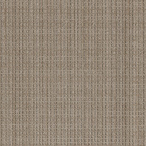 Dreamweaver Carpet Suffolk Franklin Carpet 8910_8106