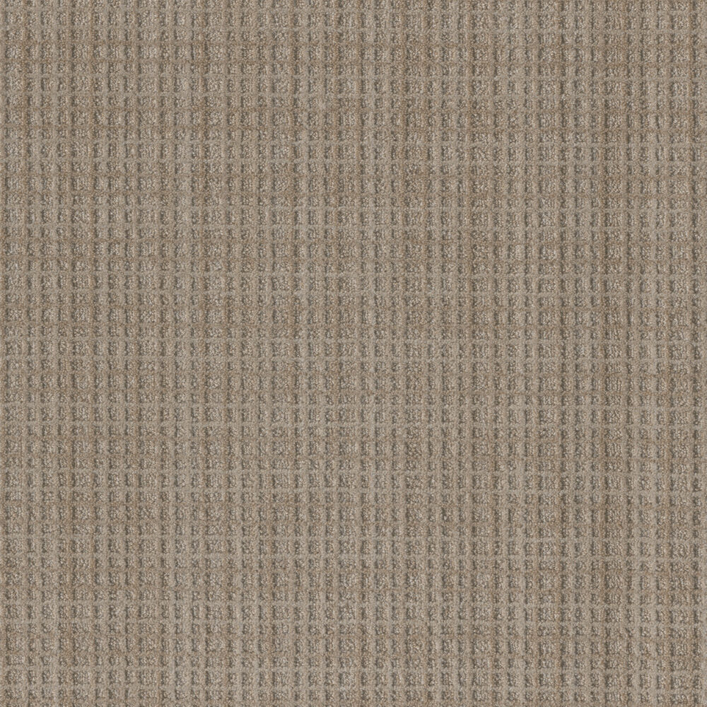 Dreamweaver Carpet Suffolk Franklin Carpet 8910_8106