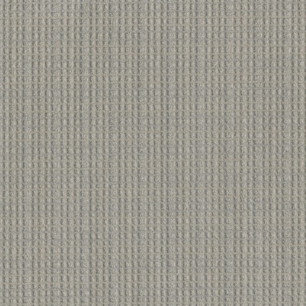 Dreamweaver Carpet Suffolk Johnson Carpet 8910_8150
