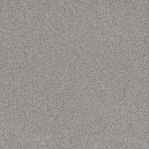 Dreamweaver Carpet All In III Fairway Carpet 9575_2008