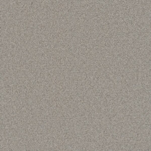 Dreamweaver Carpet All In III Brescia Carpet 9575_2012