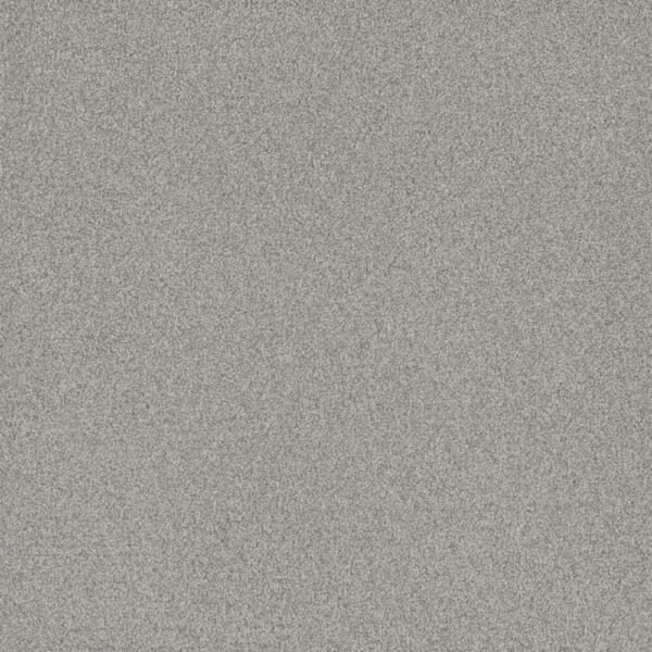Dreamweaver Carpet All In I Radiance Carpet 9555_2366