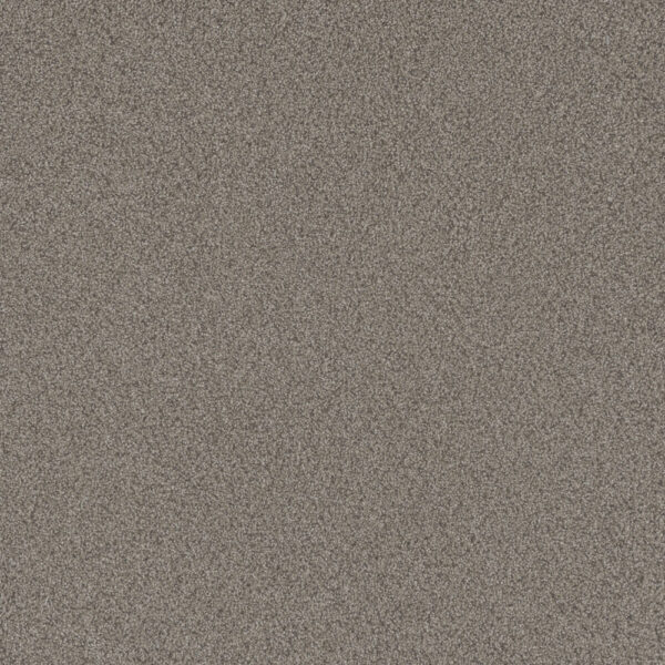 Dreamweaver Carpet All In II Fox Chase Carpet 9565_4122