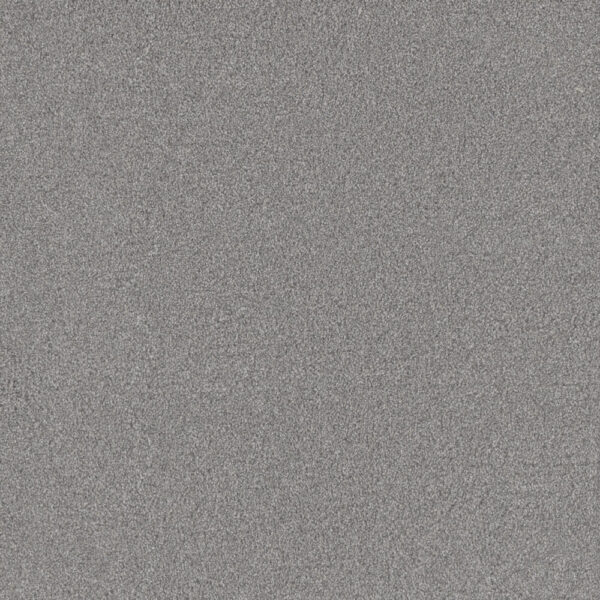 Dreamweaver Carpet All In I Pearl Frost Carpet 9555_4136