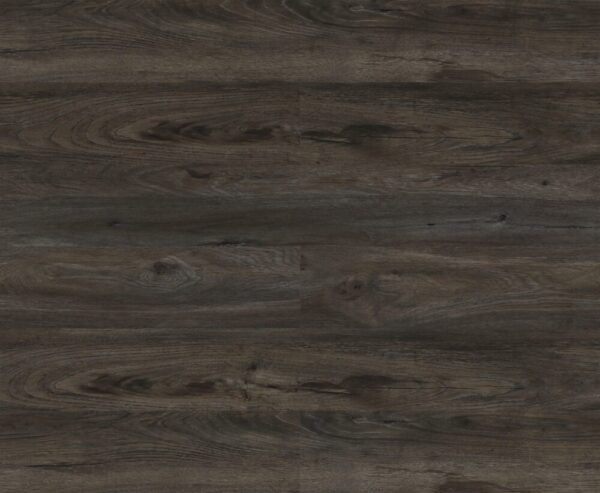 Create Flooring Assurance Prominent LVP