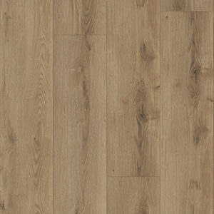 Chesapeake Rigid Core Water Proof Vinyl Plank Heartland GEM592 Aurora