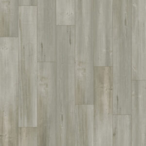 Chesapeake Rigid Core Waterproof Vinyl Plank Downtown Centennial Park