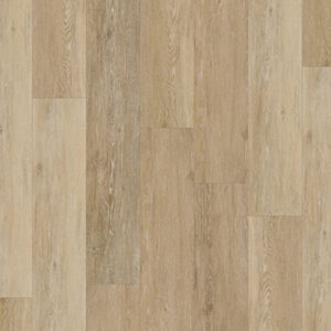 Chesapeake Rigid Core Waterproof Vinyl Plank GEM2643RC5G Coquina