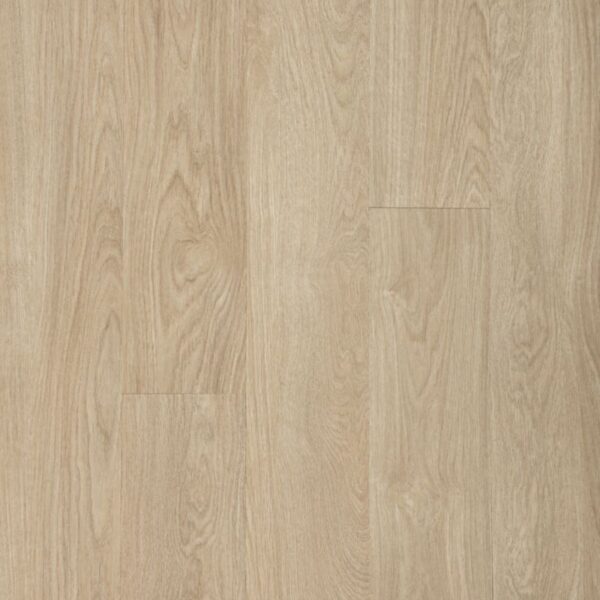 Mohawk SolidTech Essentials Dodford 20 Db Biloba Wood 7.5"