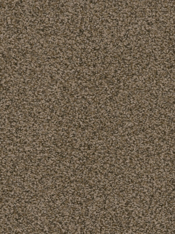 Dreamweaver Carpet Sweepstakes Agate Carpet 2200_512