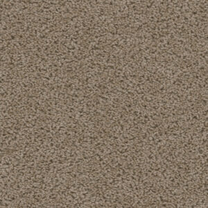 Dreamweaver Carpet Sweepstakes Doeskin Carpet 2200_530