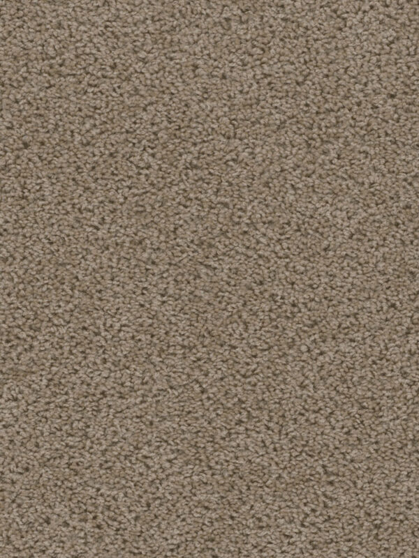 Dreamweaver Carpet Sweepstakes Doeskin Carpet 2200_530