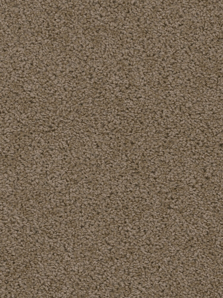Dreamweaver Carpet Sweepstakes Taupe Carpet 2200_565