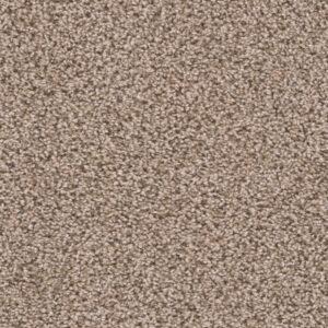 Dreamweaver Carpet Sweepstakes Claystone Carpet 2200_708