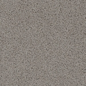 Dreamweaver Carpet Sweepstakes Chrome Carpet 2200_927