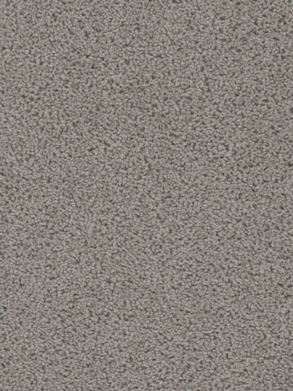 Dreamweaver Carpet Sweepstakes Chrome Carpet 2200_927